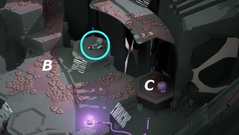 cocoonチャプター4D