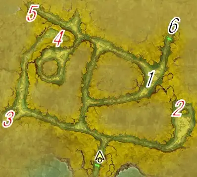 迷いの森(エリア1)