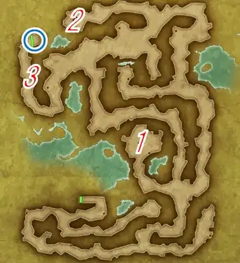 �����̉�L ��10�G���A