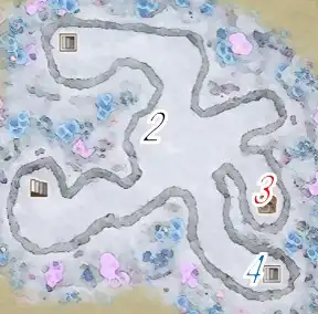 �T���S�̓����E�㔼�R