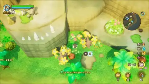 ツバサキ谷のリーフナー5