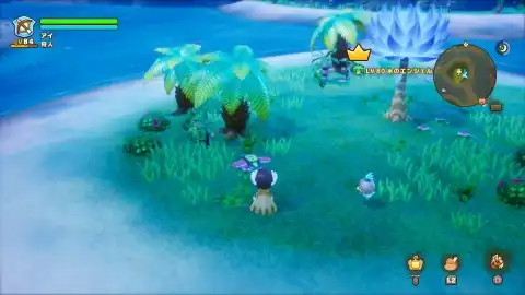 キーバ諸島のリーフナー1