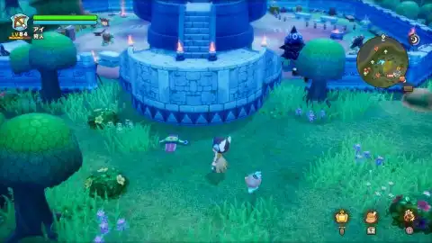 キーバ諸島のリーフナー2