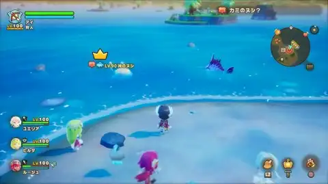 �J�~�̃k�V�H