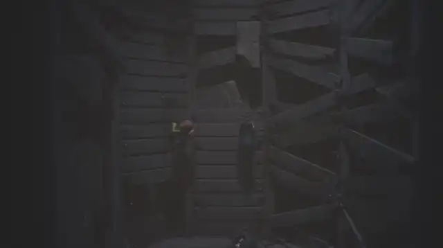 LNM3 �l�N���|���X29