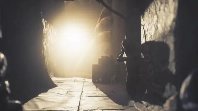 LNM3 �l�N���|���X35