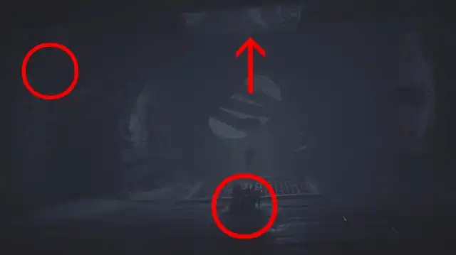 LNM3 �l�N���|���X50