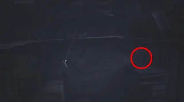 LNM3 �l�N���|���X56