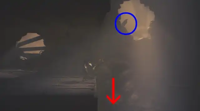 LNM3 �l�N���|���X�i�J���X�R�j