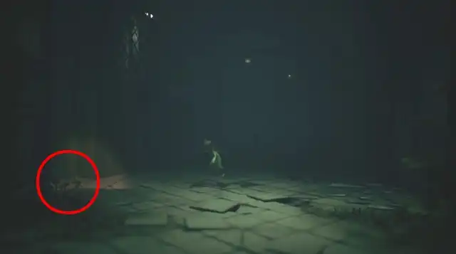 LNM3 ���_�a�@34