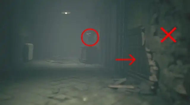 LNM3 ���_�a�@48