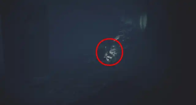 LNM3 �J���l���@�[���i����̑��V�j