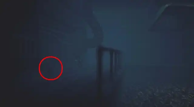 LNM3 �J���l���@�[���i����̑��W�j