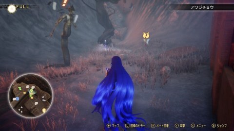 �A�L�n�o���T���g�@�M�u�{���̃M�^�[