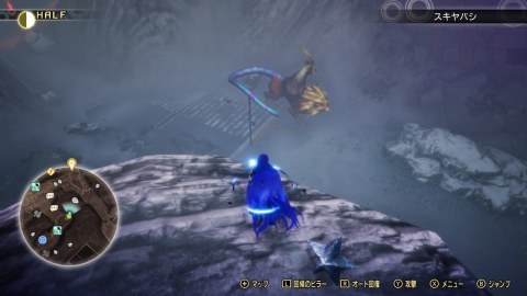 �L���̊p�T���@�L�}�C���i���c��j