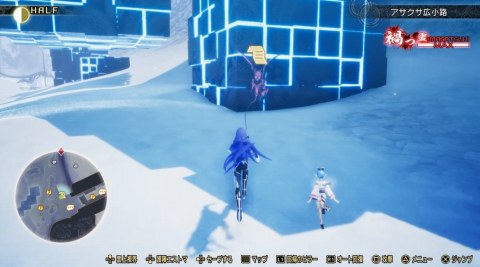 失意の彼女に 依頼人